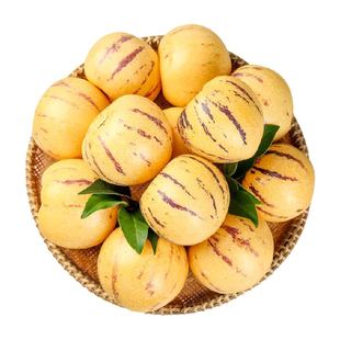 江昊阳正宗云南人参果圆果人生果娃娃果七彩黄肉新鲜水果产地直发