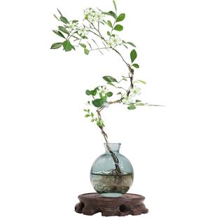 七里香水培植物盆栽办公室内桌面好养懒人鲜花绿植茉莉花水养花卉