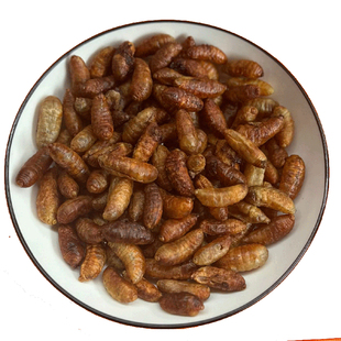 干马蜂蛹干地蜂蛹老瓦炕焙提供打粉散装200克散装