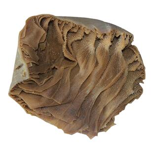 新鲜毛肚整个牛百叶带底板5斤装商用大叶片冷冻黑千层肚火锅食材