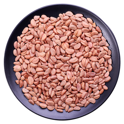 新货山楂籽玩具沙【全网热销】