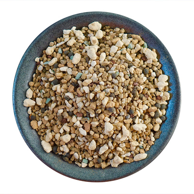 多肉铺面多肉铺面麦饭石活力