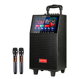 先飞广场舞音响带显示屏户外K歌音箱家用卡拉OK家庭KTV点歌一体机