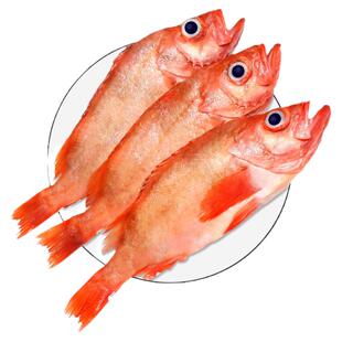 大眼红石斑鱼鲜活冷冻大号深海石班鱼新鲜捕捞红鱼海鲜水产富贵鱼