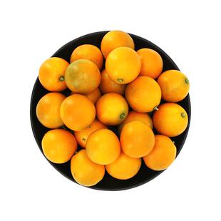 广西融安滑皮金桔脆甜金橘小橘子大果新鲜采摘水果顺丰礼盒装
