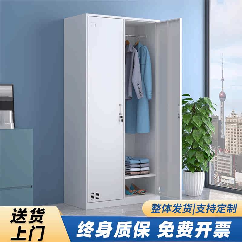 钢制二门更衣柜家用带锁储存物柜寄存工厂员工换衣柜铁皮卧室衣柜
