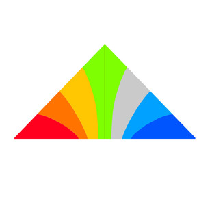 王侉子风筝珍藏版微风易飞544软伞布纯碳杆大型高档成人专业轻体