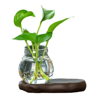 办公桌面水培瓶绿植玻璃培养器皿