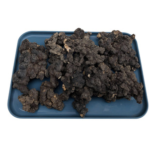 藏地高原野生猪苓中药材500g克去皮朱苓汤天然正品整个膏片猪屎苓