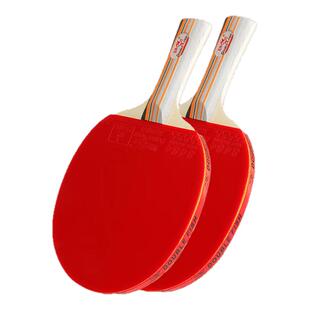 双鱼初学者乒乓球拍小学生专用儿童乒乓球拍套装训练比赛横直单双