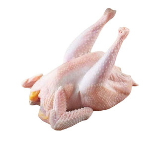 正宗2年老母鸡土鸡草鸡柴鸡孕妇月子鸡新鲜走地鸡黄油粮食散养