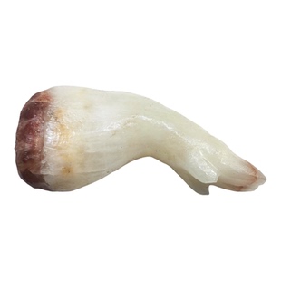 小猪蹄手把件肉石小肉石头块石头猪蹄子祝学业手把件