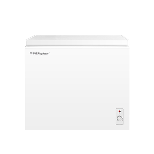 荣事达150/200/300L冰柜家用商用一级冷柜冷藏冷冻节能减霜小冰箱