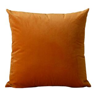 纯色天鹅绒抱枕套不含芯简约沙发靠枕头正方形现代客厅大靠垫定制