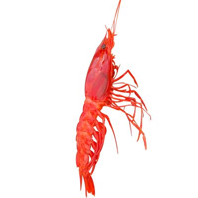红魔虾海鲜水产深海捕捞野生超大350g 新鲜刺身级绯红虾