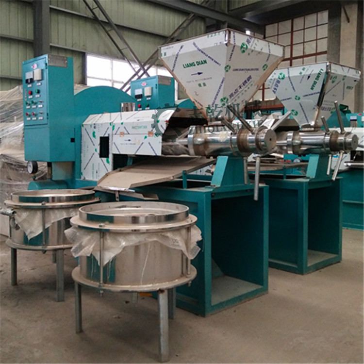 熟榨菜籽油机器 条排螺旋榨油机 油坊花生打油机 葵花籽炸油机