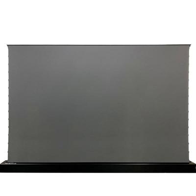 vividstorm抗光电动地升投影幕布