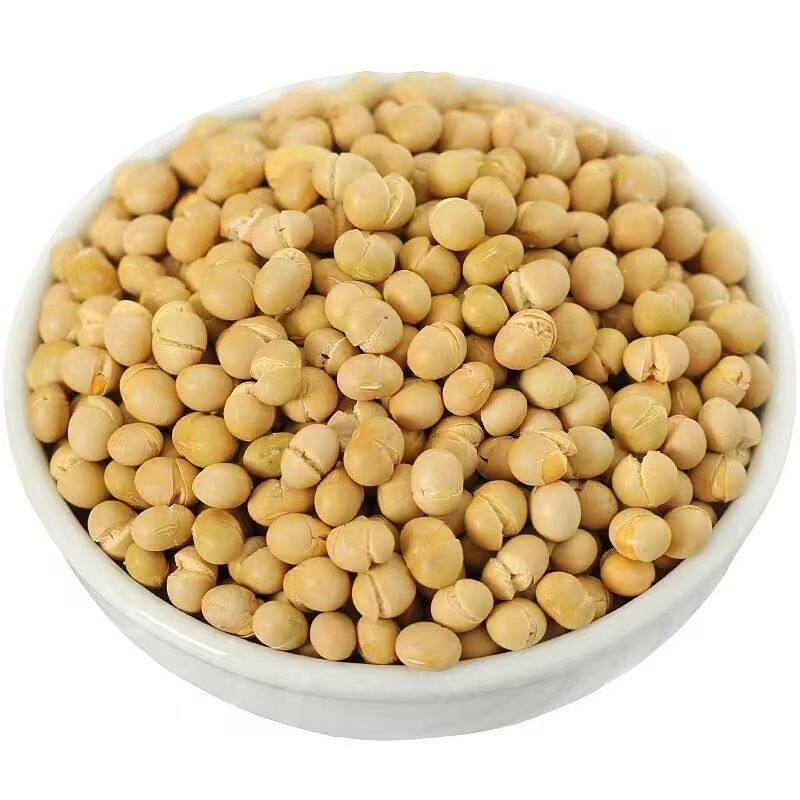 【限量5斤】新黄豆农家自种大豆五谷杂粮老品种生豆芽打豆浆干豆