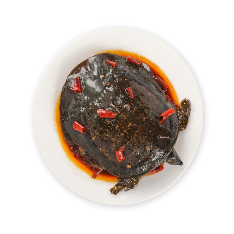 邵锦记麻辣卤甲鱼三只装活杀现卤内脏处理干净去油加热即食私房菜