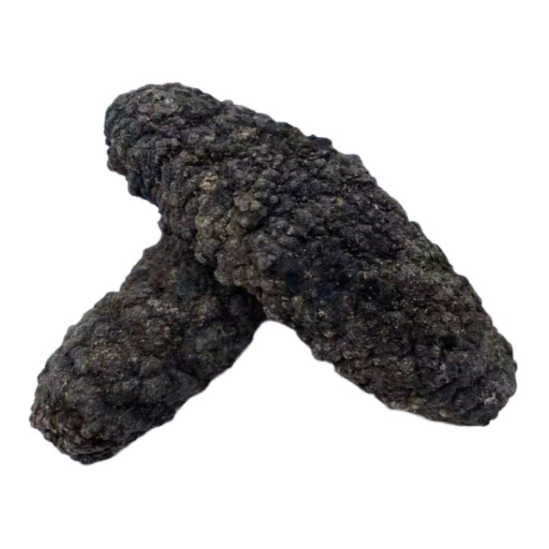 南美靴参 野生淡干荔枝参500干品/即食海参