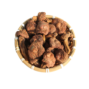 东北野生松树伞蘑菇红蘑菇松伞蘑干货肉蘑菇肉蘑红松伞蘑松蘑特级