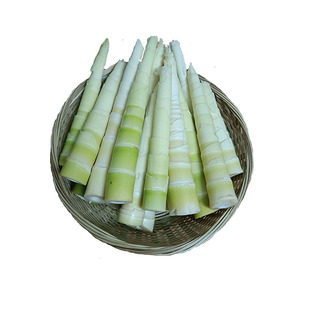 苦笋新鲜现挖去壳苦竹笋清水苦笋凉笋手剥笋客家特产小竹笋包邮