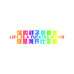 汽车趣味创意你的样子很出众奈何我开破大众顺口溜车贴防水反光贴