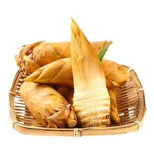 临安冬笋新鲜现挖5斤浙江天目山野生毛竹笋春笋正宗鲜笋黄泥笋邮3