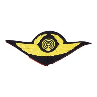 前苏联 东欧某国民航 胶印胸标 未知部门