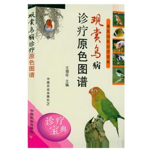 观赏鸟病诊疗原色图谱 笼养鸟驯养技法与疾病防治观赏鸟养殖书籍笼养鸟养殖笼养鸟疾病诊断与防治技术大全书籍笼养鸟饲养书籍