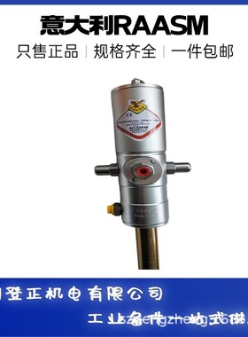 意大利进口RAASM黄油泵62095 磨煤机喷淋油泵
