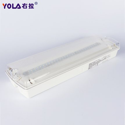 外贸款白光led双头应急灯应急灯疏散高珠亮消防10私模50模具照明