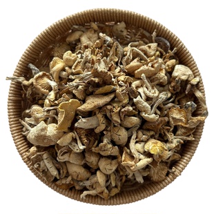 野生小白蘑围场野生小白油蘑菇干货煲汤年夜饭25新货承德特产年货