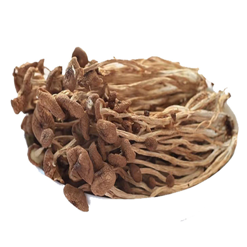 东北特产茶树菇干货特级无添加新货长白山野生茶树菇不开伞煲汤菌