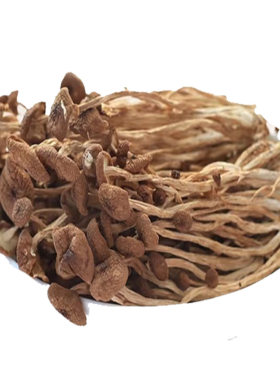 东北野生茶树菇干货特级无硫