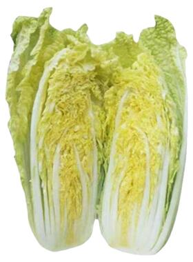 四季种植小香芹种子小芹菜种籽适应上市春季四季盆栽阳台庭院蔬菜