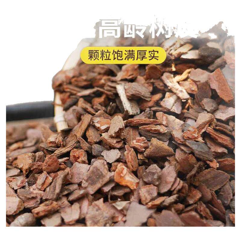 松树皮块松鳞发酵腐熟包邮兰花专笔筒