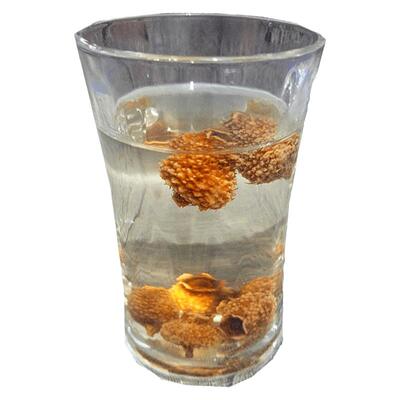 贵州野生泡水泡酒煮粥刺梨干果