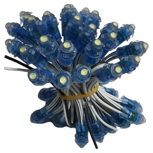 LED外露灯串招牌发光字6mm9mm12mm穿孔灯珠冲孔字防水灯珠5V12V