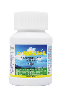 120万增糖提高产量芸苔素内酯
