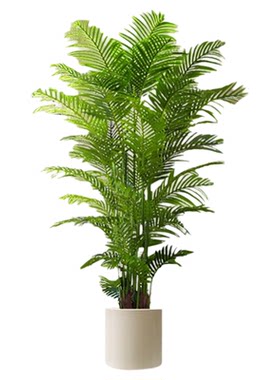 仿真绿植高端轻奢散尾葵法