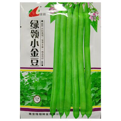 四季豆长荚型春秋播种40克