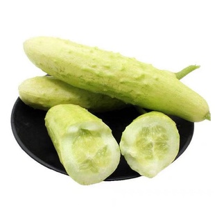 上栗早熟翠香六号白黄瓜种子黄瓜种籽春秋四季水果黄瓜春季秋夏孑