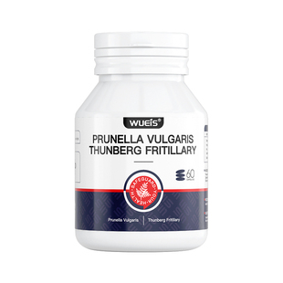 【冠军推荐】助牙根健康 咀嚼有力 冷热酸甜畅快吃喝JC