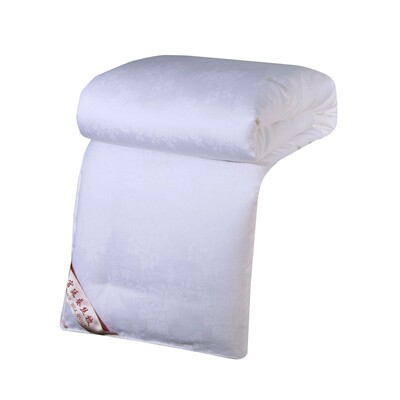 秋冬被芯蚕丝被保暖子母被夏凉被