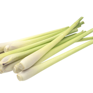 香茅草新鲜食用香茅香料菜柠檬草叶奶茶店用调料泰式冬阴功汤原料