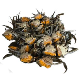 全母小螃蟹鲜活蟹公大闸蟹一元蟹二元蟹醉蟹河蟹稻田蟹香辣蟹海鲜