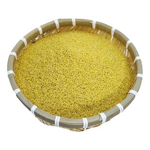 2025年安丘辉渠小米新黄小米杂粮山东特产农家春谷小米孕妇月子米