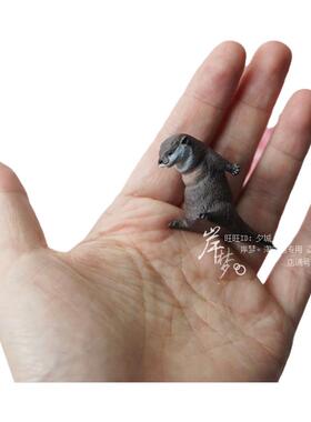 摆件正版扭蛋鞠躬浣熊日系丑萌