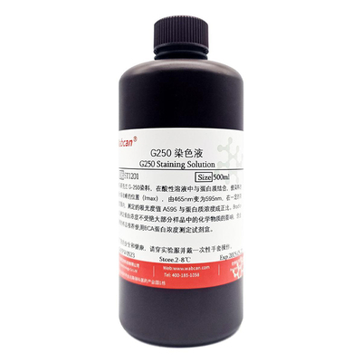 wabcan考马斯亮蓝快速染色液G250